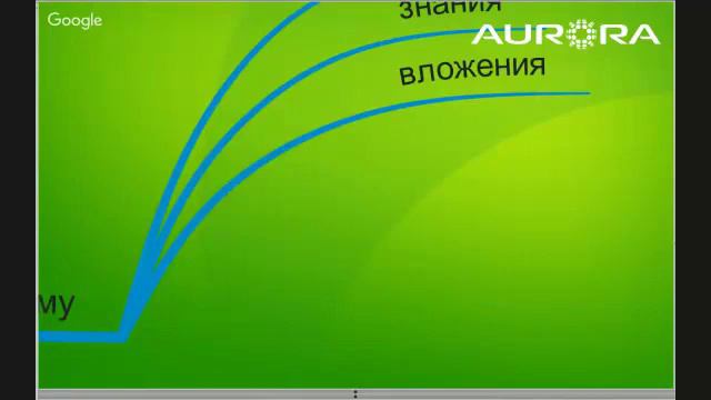 Что такое ОТКРЫТЬ СВОЙ БИЗНЕС! Ник Шестаков  Аврора