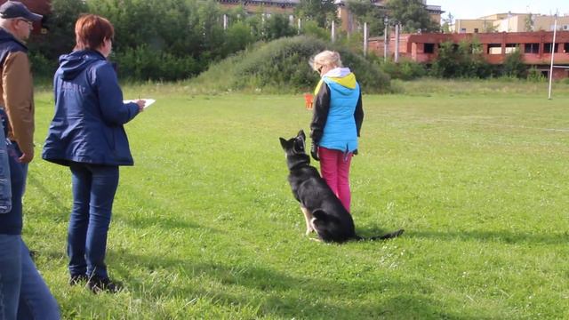 Моншер Вирсаль Чингисхан рядовость МОНО 13.07.19