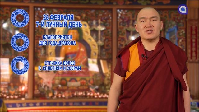 Драконы, проведите время с любимыми