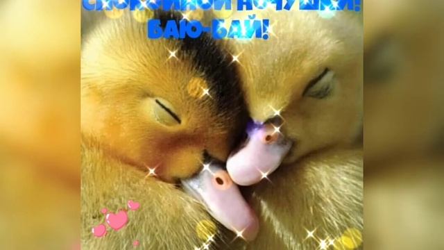 C0d62b815ac340e761785ae3585ba771