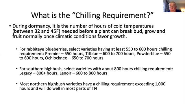 Berry Production In Tennessee - Strawberries, Blackberries And Blueberries