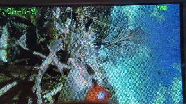 XK (RC Era) C129V2 W FPV !?! ...but Always Have Spare Controller Batteries Too   :^\