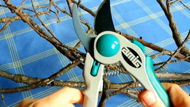 COMO CELEBRAR OSTARA, EL EQUINOCCIO DE PRIMAVERA ( Recetas, DIY, Ideas Para Decorar El Altar...)