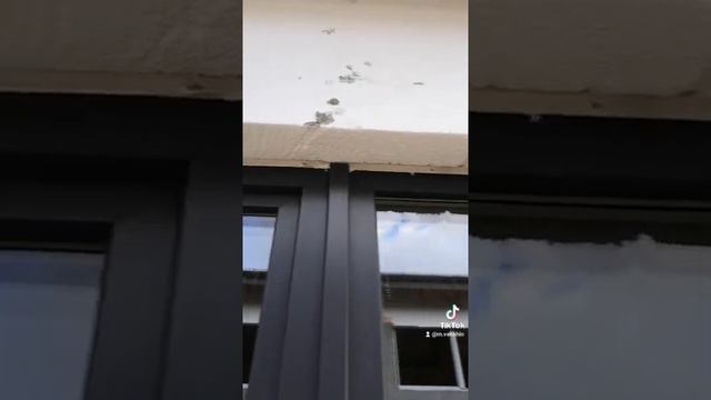 Фасадчики жгут