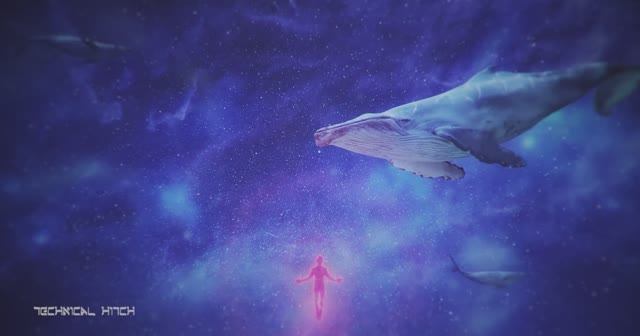 Technical Hitch - I Believe