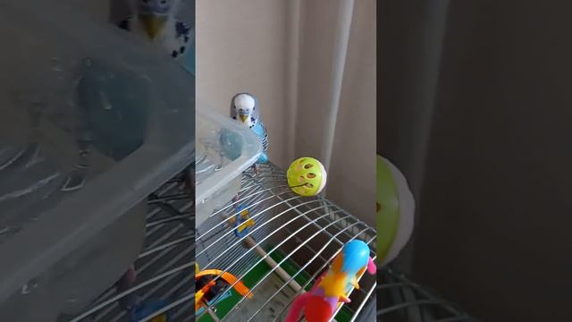 1eda95e9a95baa8bacc199581ee2320e