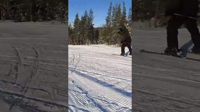 Перед пондемией успели покататься.