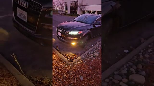 для чего нужны жёлтые противотуманки?