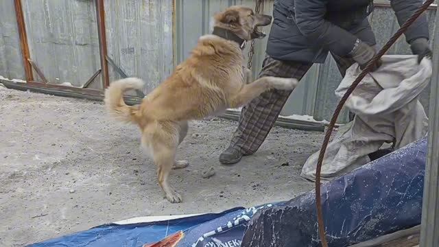 Люсина стойка в мешке.☺