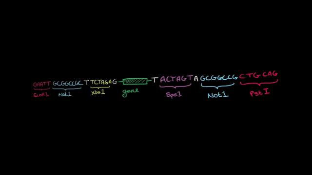 Syn Bio Tutorials: All About RFC-10