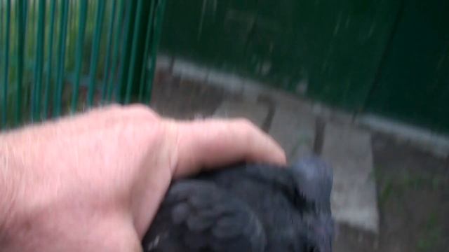 лучшие все дома