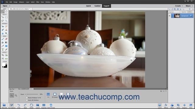 Photoshop Elements 2021 Tutorial Selection Basics Adobe Training