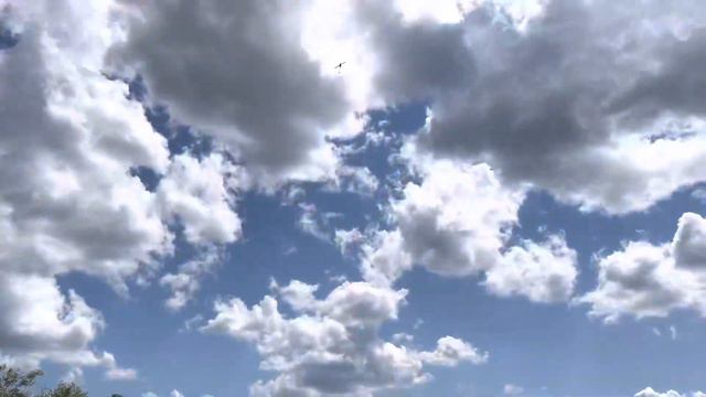 Smack Flight OMP M4 Blue