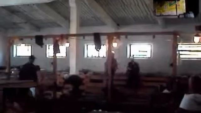 Стрижка овец в ДП ДГ 'Гонтаровка' с вставкой проектирования машинки