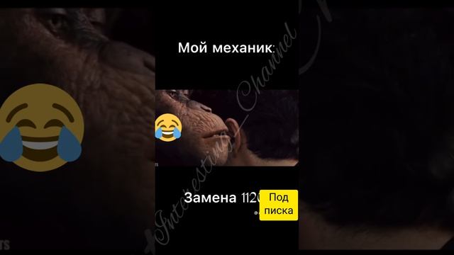 Купил сальник на BMW.  ??♂️