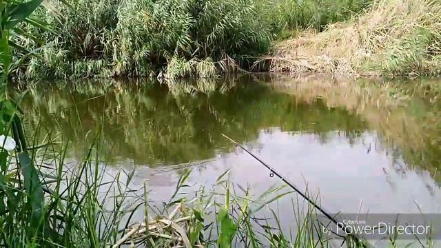 Обычная рыбалка на удочки на обычной речке.