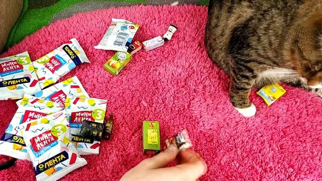 16 ПАКЕТИКОВ МИНИ ЛЕНТА 3 | КОЛЛЕКЦИЯ МИНИАТЮРОК КОТА ТИГРЫ | РАСПАКОВКА СЮРПРИЗОВ | PET CAT