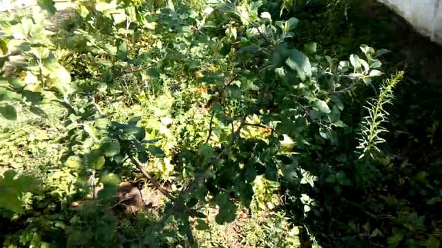 Гости уехали, за работу!