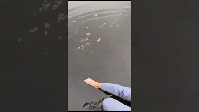 2176ba286f3a82243cbdc522a3434c20