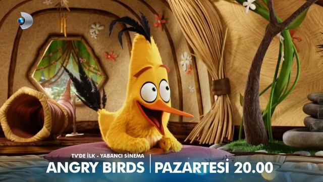 Tv'de Ilk Kez! Angry Birds Yarın 20.00'de Kanal D De!
