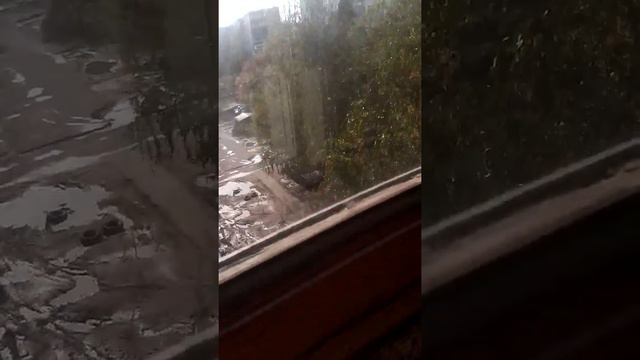 Всем привет я буду снимать игры