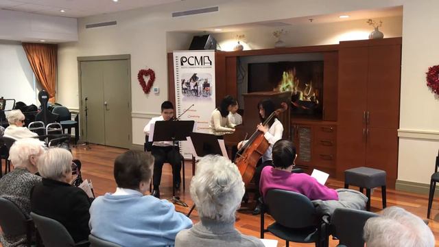 Beethoven Piano Trio Op1. No1. Allegro