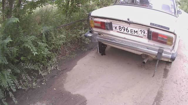 Кот учёный ходит по городу и знает номера машин