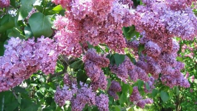 27e5f7160973d852f64a87ea410317a4