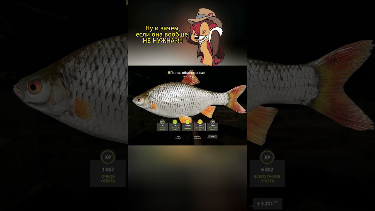 Bcf5e41107e1c3b18adceec1e2a160a1