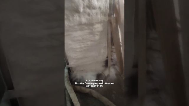 Тестируем слои ппу на адгезию #пенополиуретан #утепление #ппу #ленинградскаяобласть #спб #тосно