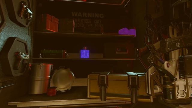 Starfield | Neon City - The ULTIMATE Sleep Crate Showcase!