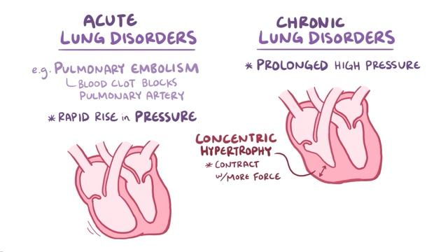 8409d9812fda0b8cd3db4f059733d68f