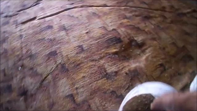 Кролики дяди Саши 5