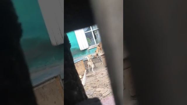 1c8b720a2202b4b3859cd5716543f9db