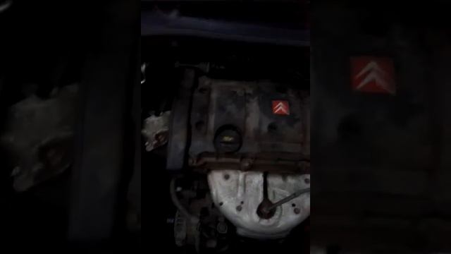 Citroen: мастерство и профессионализм