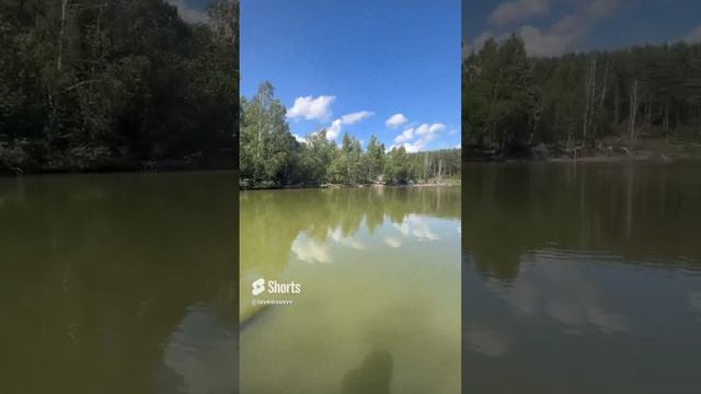 Свежий воздух , красота вокруг и милые животные ❤️