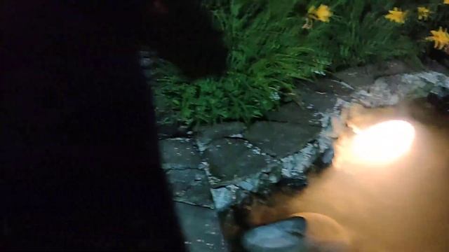Посмотрите как выглядит садовый пруд ночью.  #oase #aquascape