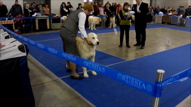 Евразия 23.03.2013 САО Зардак Главный Виксам