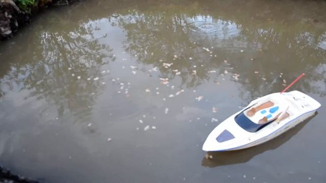 Кормление и разведение карасей в пруду Карелия