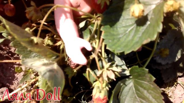 Кукла Ляля отдыхает у бабушки на даче  Lyalya Doll is resting in the garden.