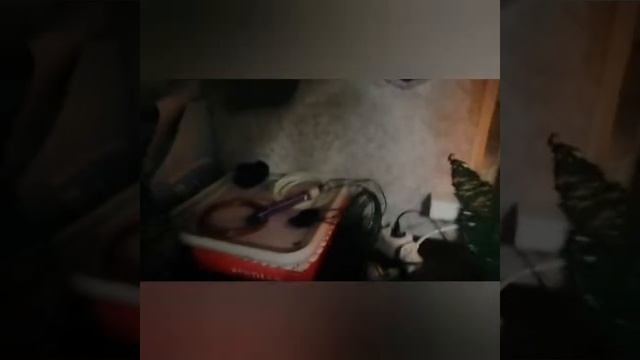 у меня день рождения, 10 лет.