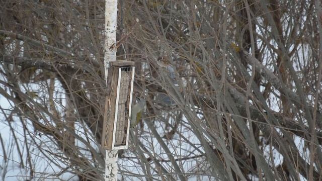 E778f1cf43f9ef8508a57cd64eb99f11