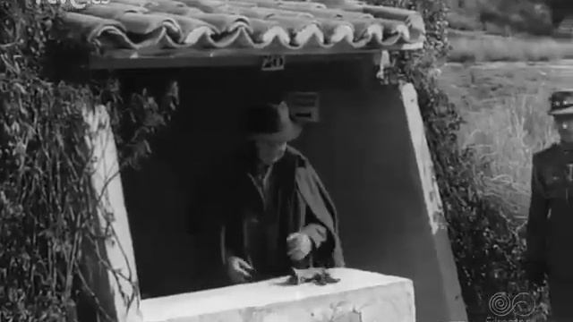 1964 03 02 NODO 1 103A  Caceria En Los Montes De El Pardo  Asiste Franco Con Familiares Y Amistades