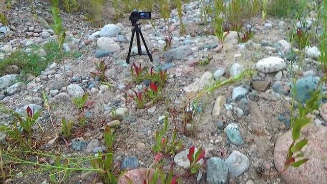 Количество камней большое 30