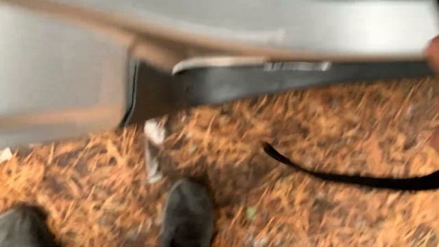 Скорость и мощность