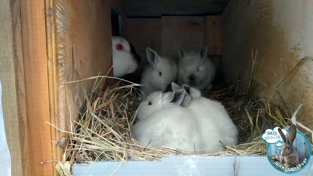 8748f75a4e5d8bd503c45093ad41704b