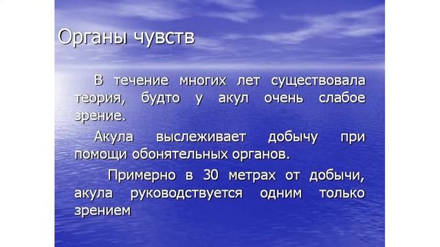 акула видеоурок  презентация сказка детский сад