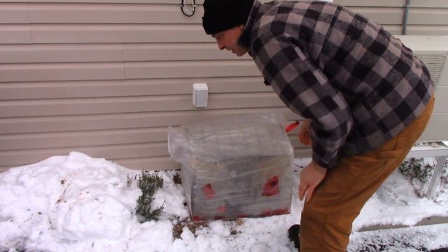 Wintering Rosemary Outdoors In Zone 6