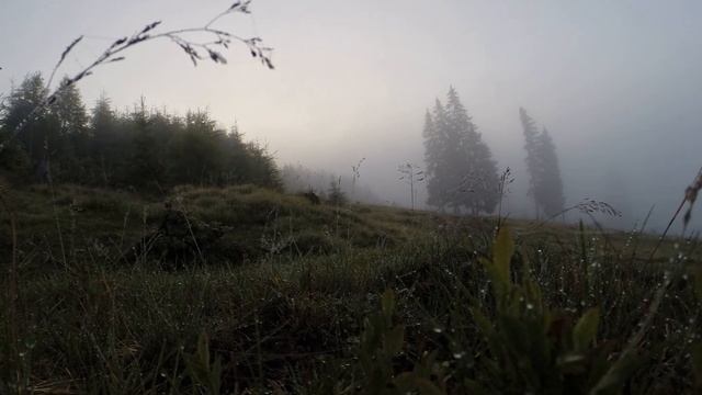 рассвет в Буковеле