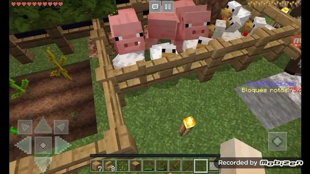 Выживание на одном блоке в крафтсмен 4.